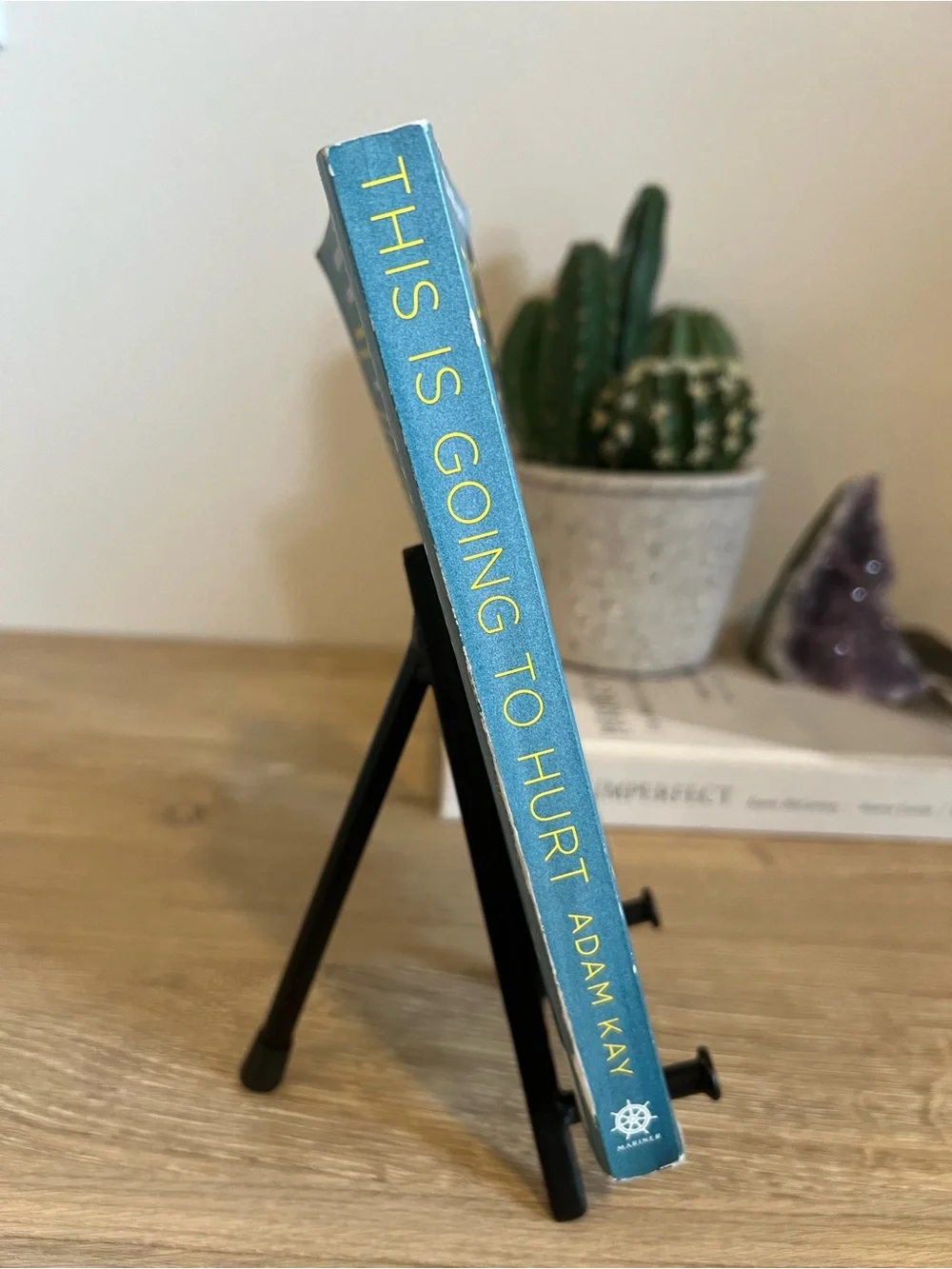 This Is Going to Hurt Adam Kay Paperback Medical Memoir AMC Series